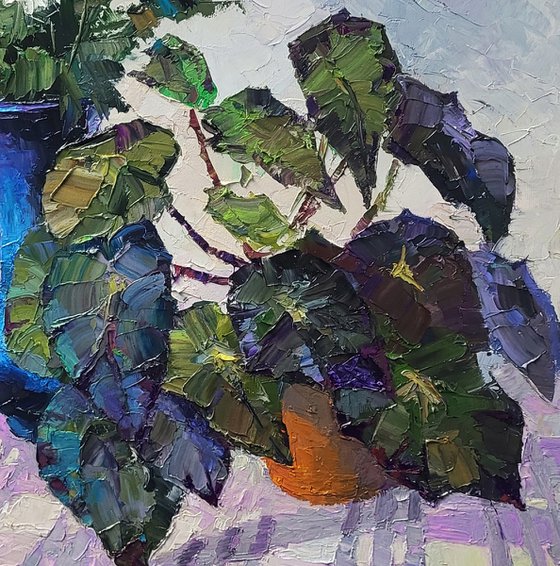 Still Life with Begonia and Daisies