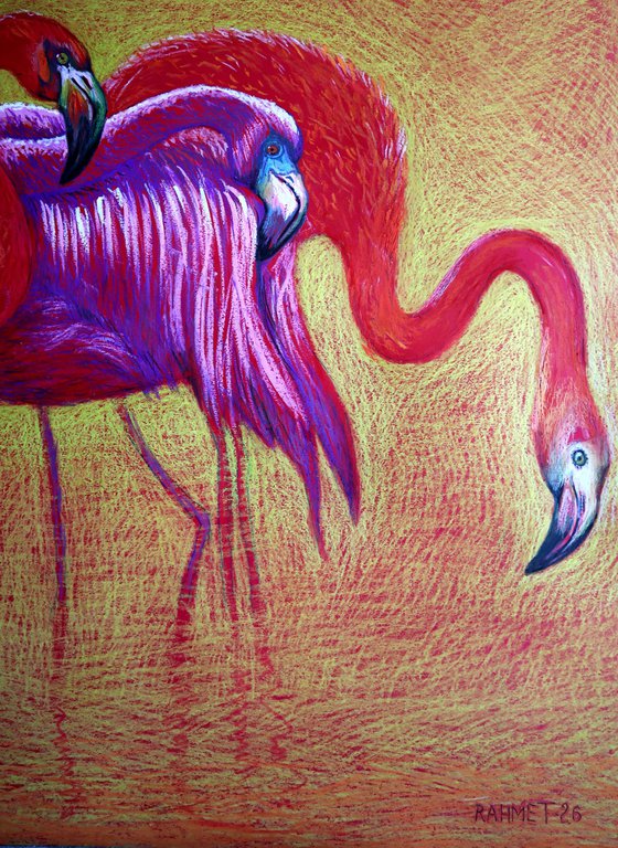 Flamingo on Gold -Blazing Gradient