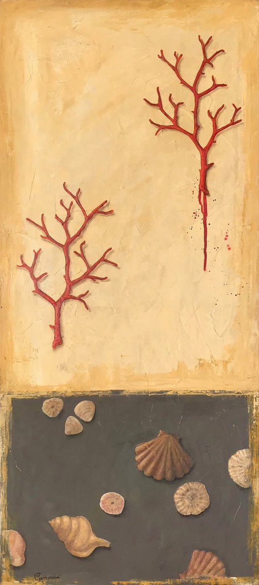 Photorealistic Painting , Corals & Shells By Marcello Carrozzini, 16 X 35, Artwork For Sale On Artfinder