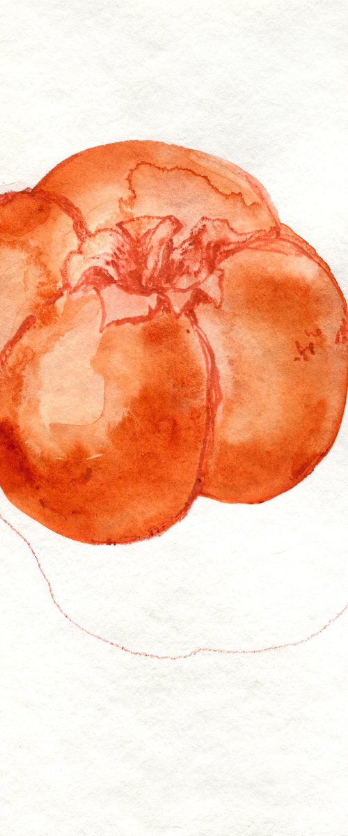 Watercolor minimalistic persimmon by Liliya Rodnikova