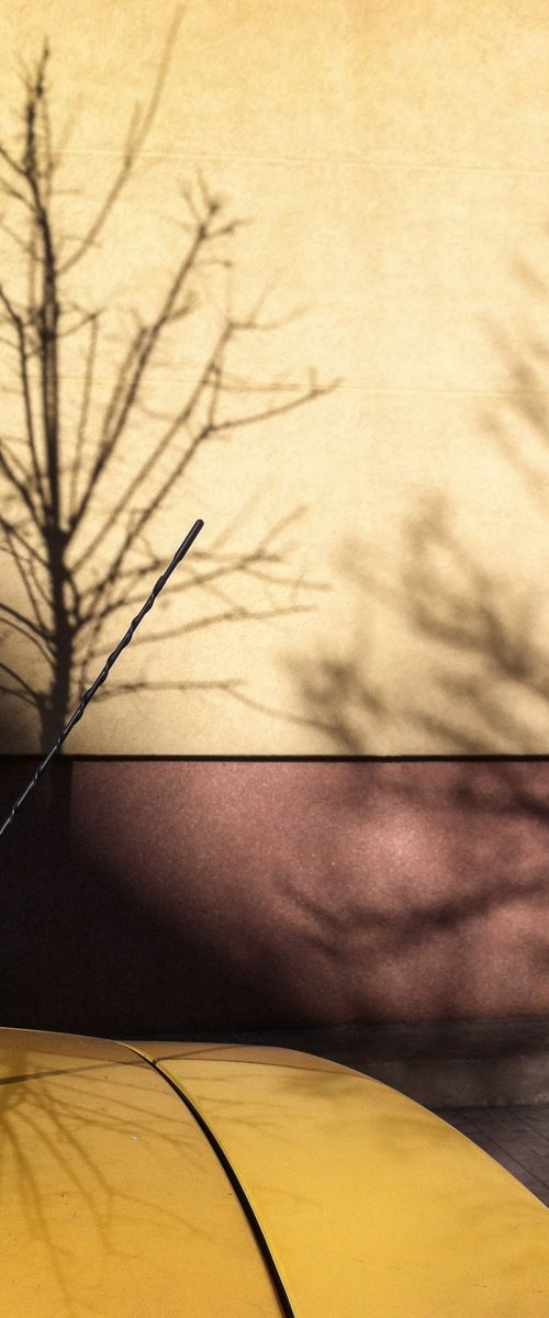 Carrer de la Gasela by Frankie Malone