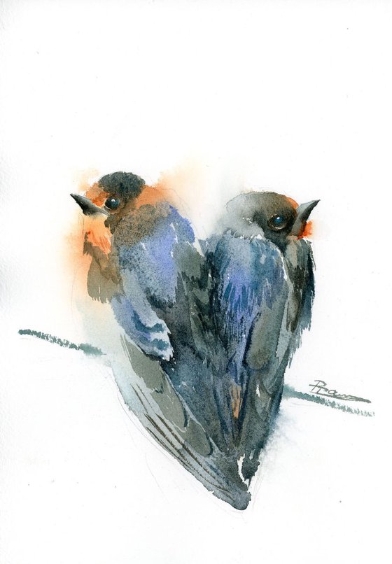 Couple of bluebirds