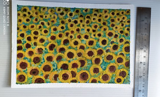 Miniature Landscape of Sunflowers