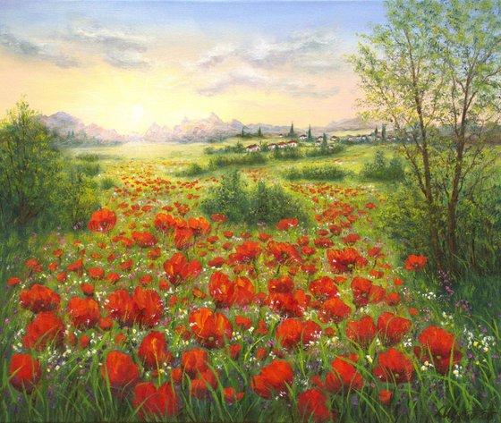Sunrise on the poppy field
