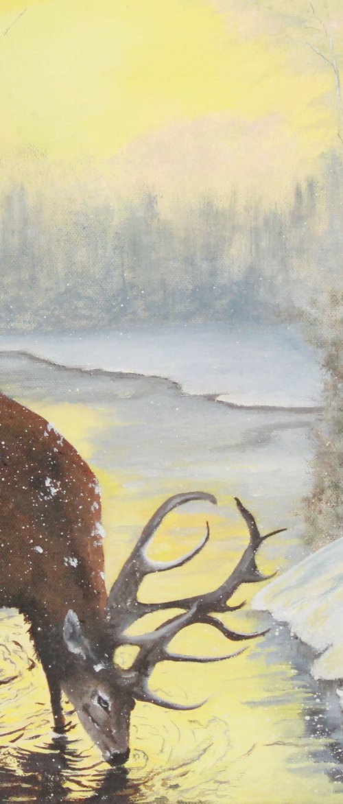 Snowy stag by Debbie Young