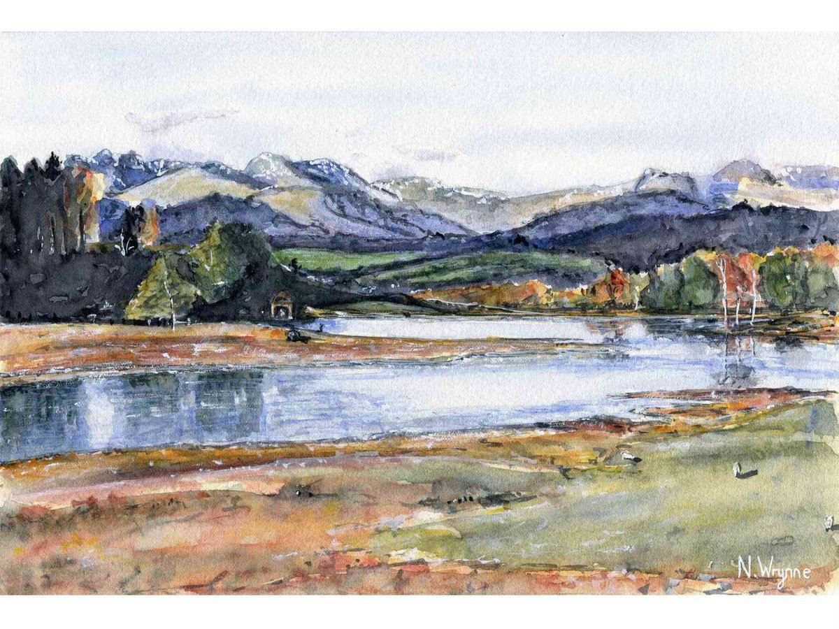Lake District Original Watercolour - Wise een tarn - Claife Heights - Countryside Impressi... by Neil Wrynne