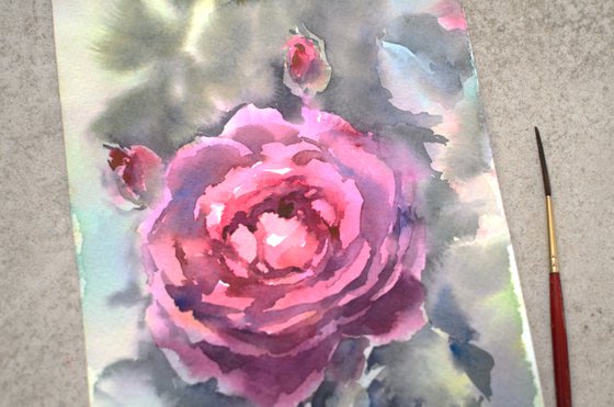 Purple Watercolor rose, flower from Summer garden