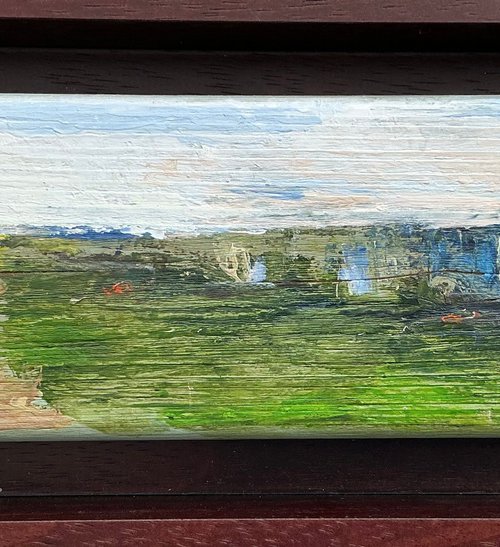 Allotment Landscape by Sandra Haney