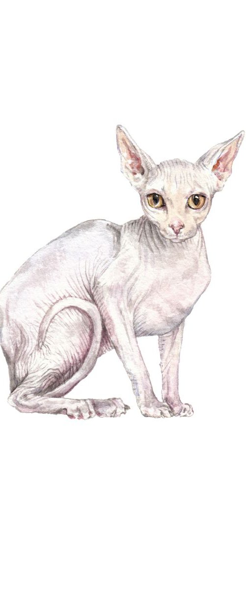 Sphynx Cat Original Watercolor by Lauren Rogoff