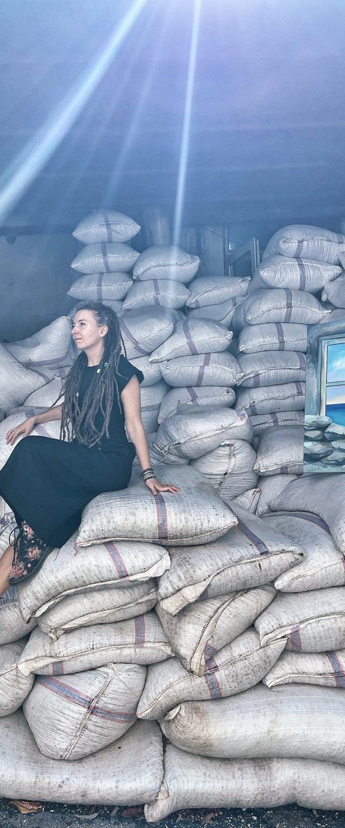 Through the Barricades by Delnara El