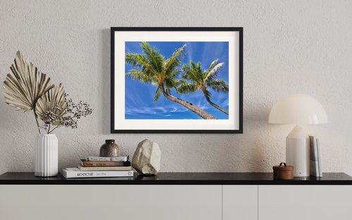 Maui Palms 1.0 by Cutter Cutshaw