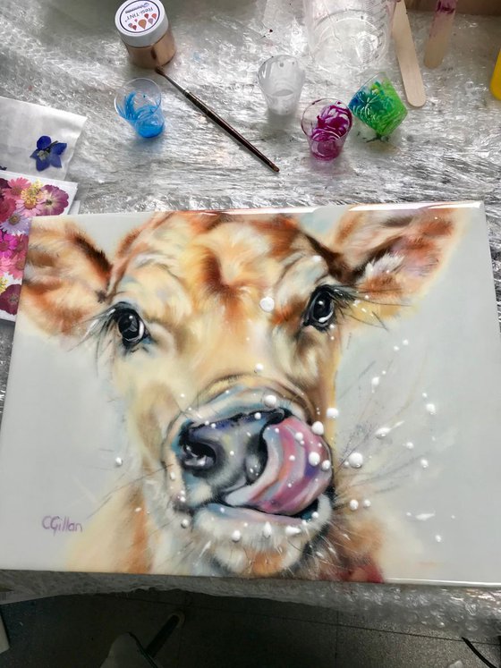 Messy Fred -  Original Oil Painting Jersey Cow, Resin 16x12"