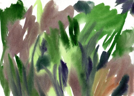 Wild Summer Garden Collection