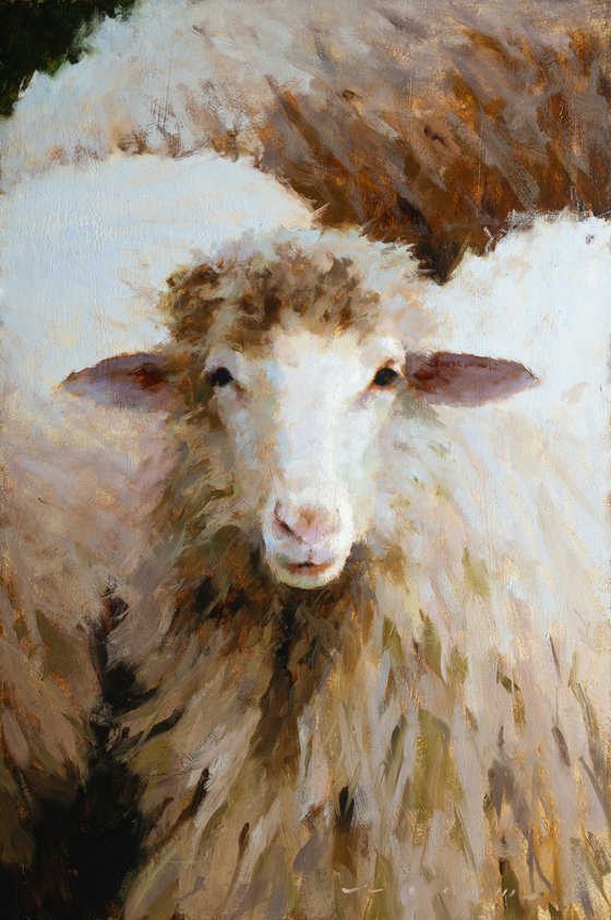 "Ewe In Stillness"