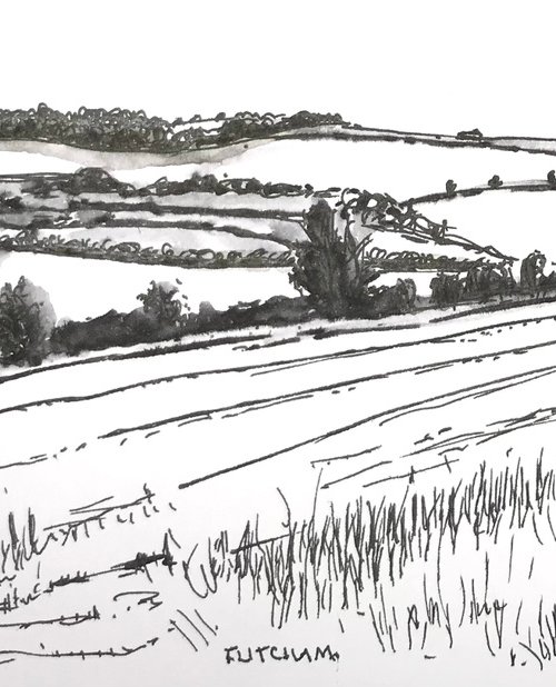 Norfolk Farm Landscape - trees hedges fields hills by Catherine Winget