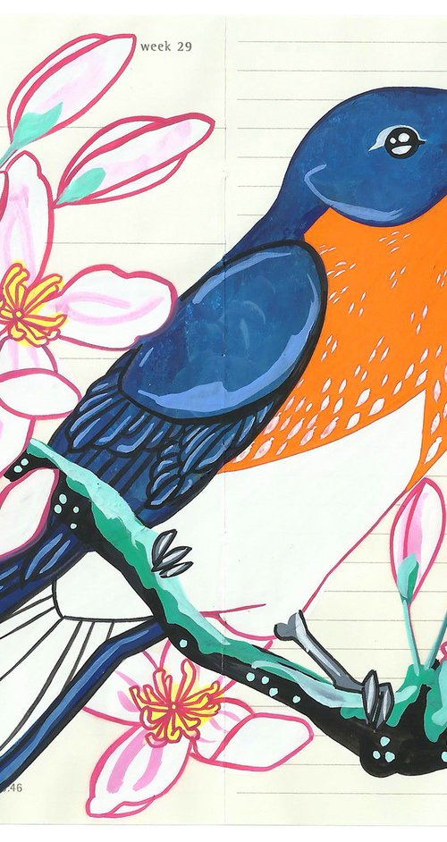 Birds of North America: Bluebird by Fran Giffard