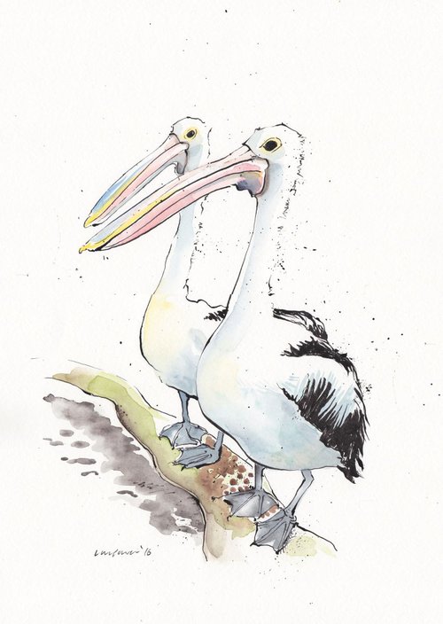 Pair of Pelicans by Luci Power