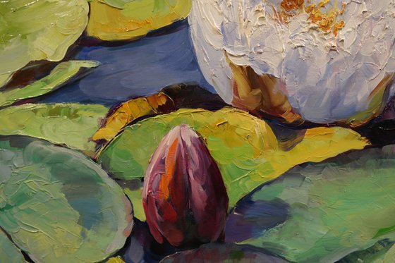 "Symphony of Water Lilies"