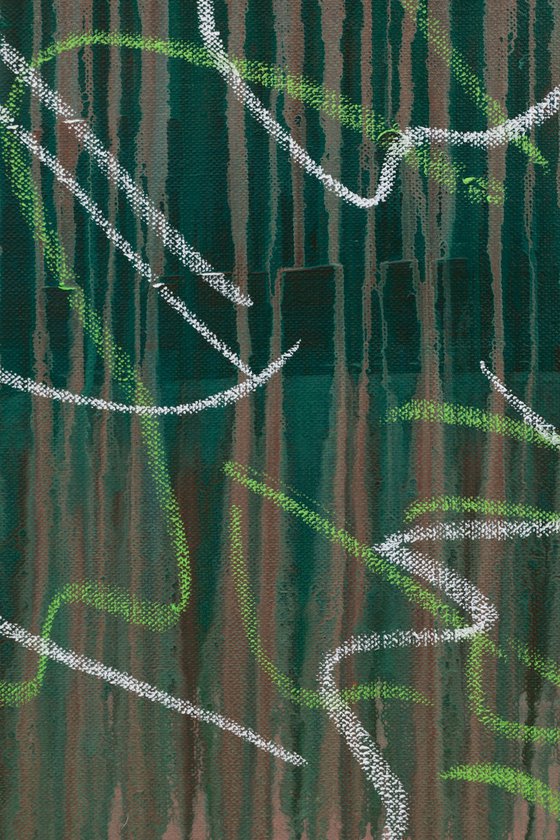 Monstera Double Shadows Green White