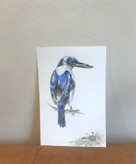 Kingfisher Bird Original Watercolor