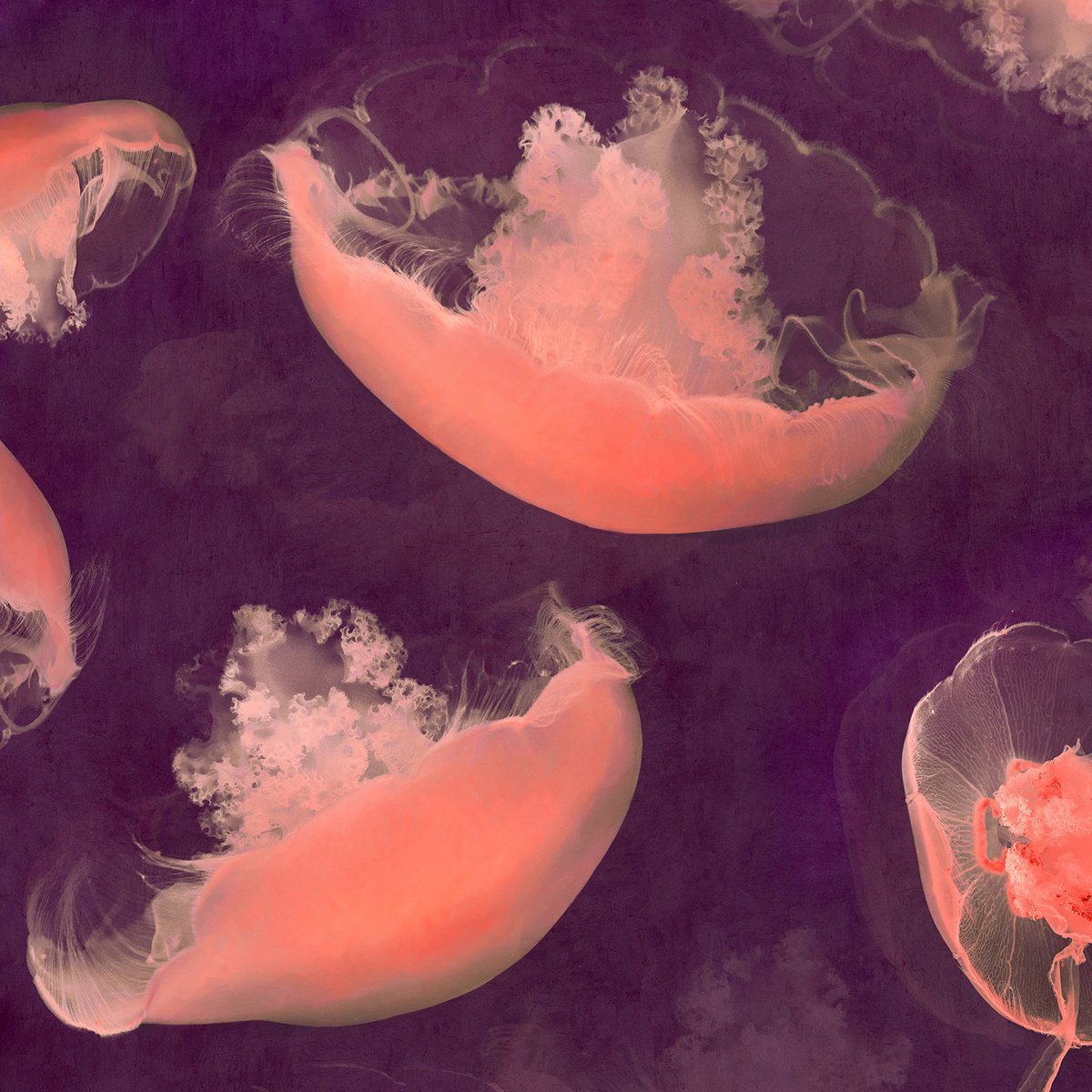 Impressionistic Landscape Photograph By Nadia Attura, 28 X 28", Monterey Mulberry, Original Artwork