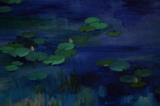 Lily pond. Lullaby