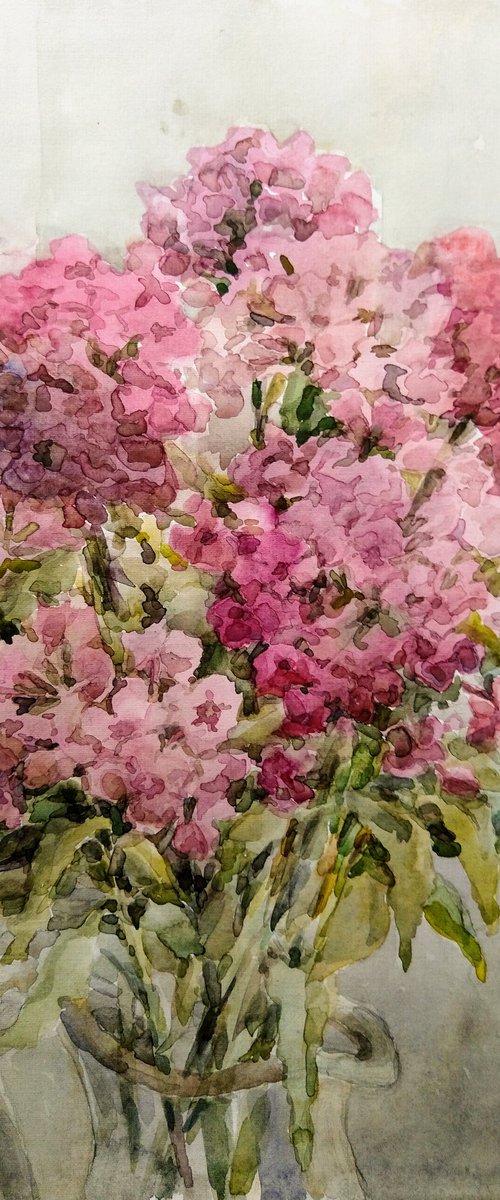 Bouquet of Phloxes. Original watercolour painting. by Elena Klyan