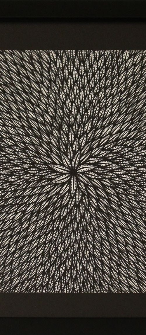 Floral by Jonathan Pradillon