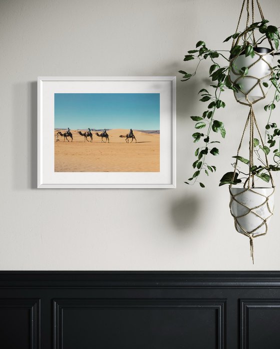 SAHARA CAMELS