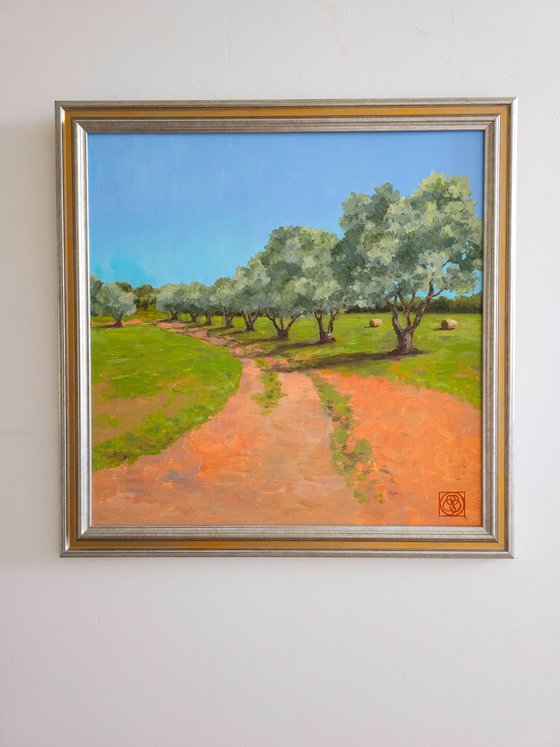 Olive Grove