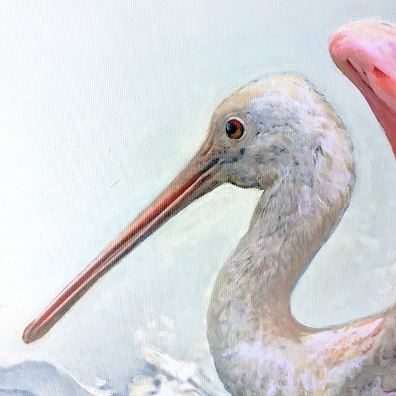 2 ROSEATE SPOONBILLS