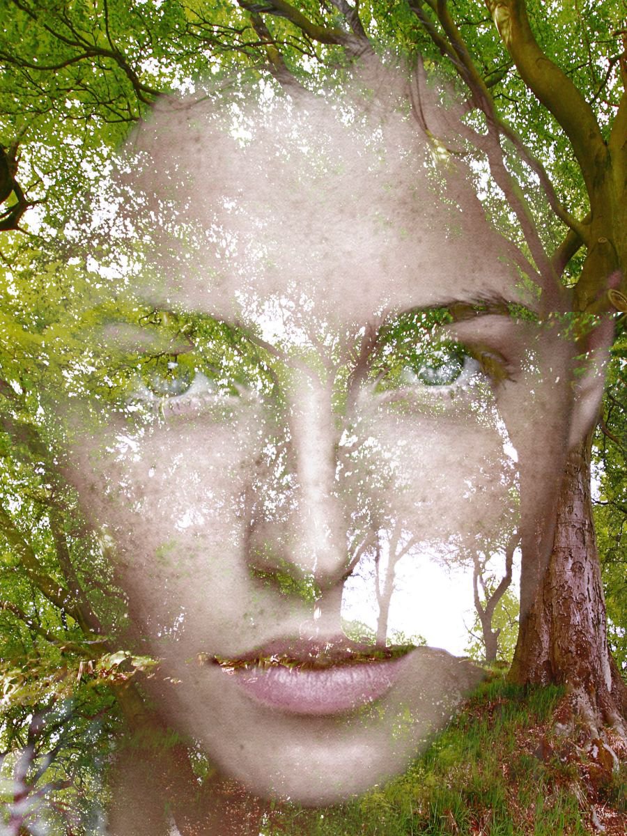Illustrative Photograph , Spring By Bojan Jevtic, 41 X 55, Artwork For Sale On Artfinder