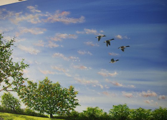 Summer Morning