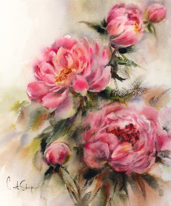 Pink Peonies