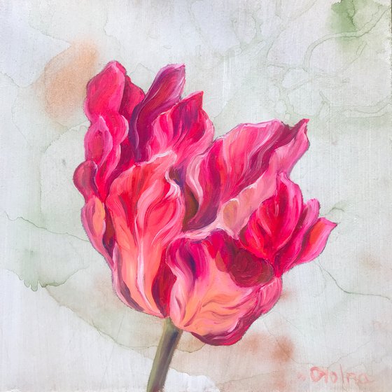 Framed Pink Tulip