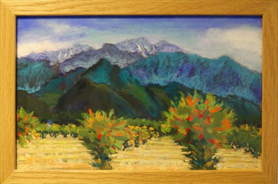 Pomegranates and Pyrenees