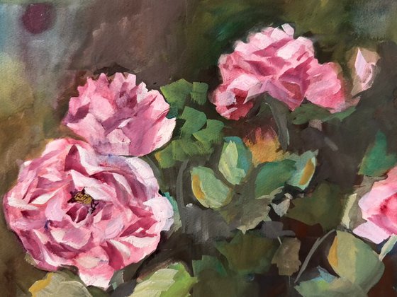 Where Roses Rest