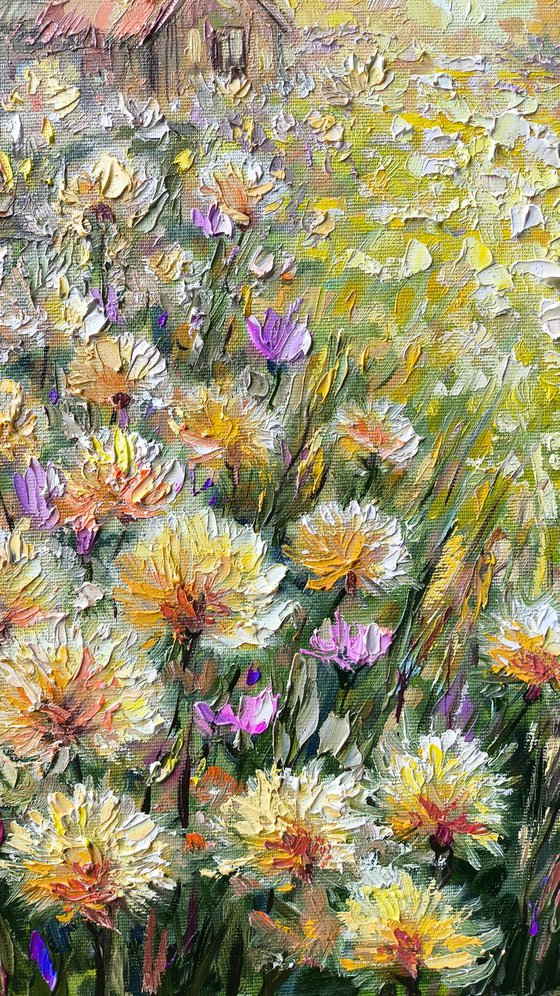 Where the Sun Feels Like Home