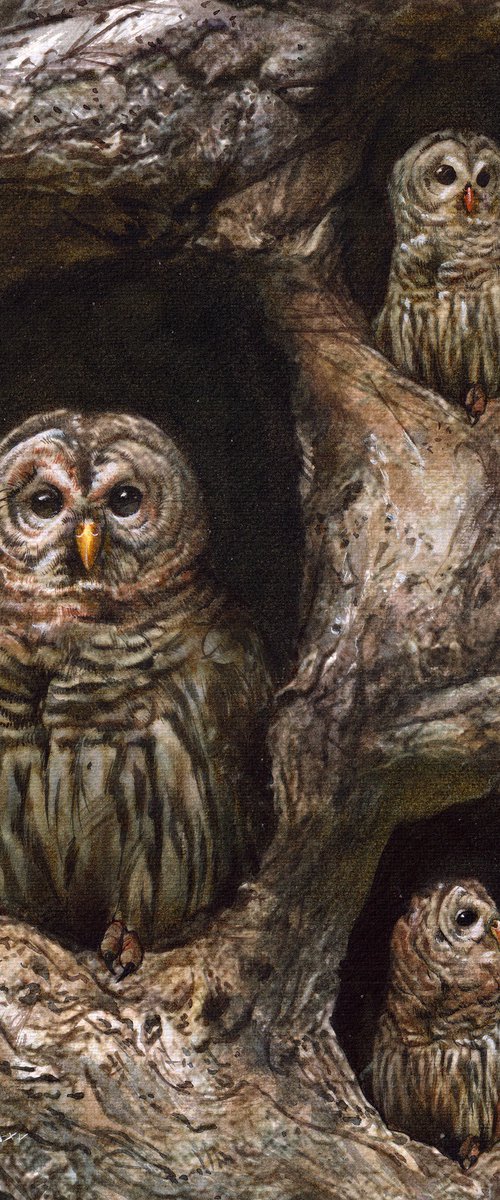 OWL'S FAMILY by REME Jr.