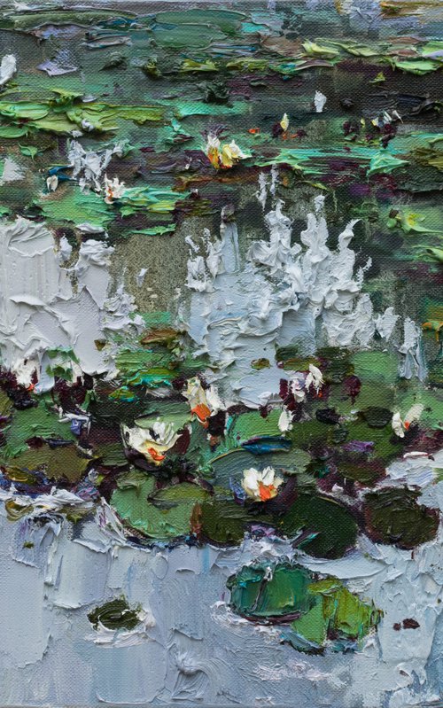 White Water Lilies -  Original Oil painting by Anastasiia Valiulina