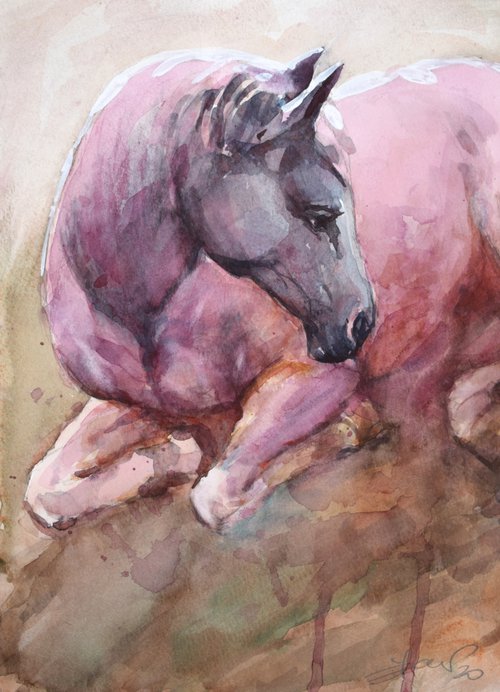 lying horse II by Goran Žigolić Watercolors