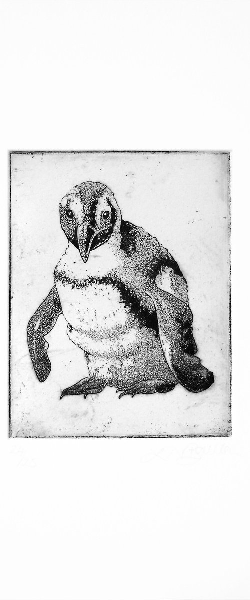 Penguin by Louise Boulton