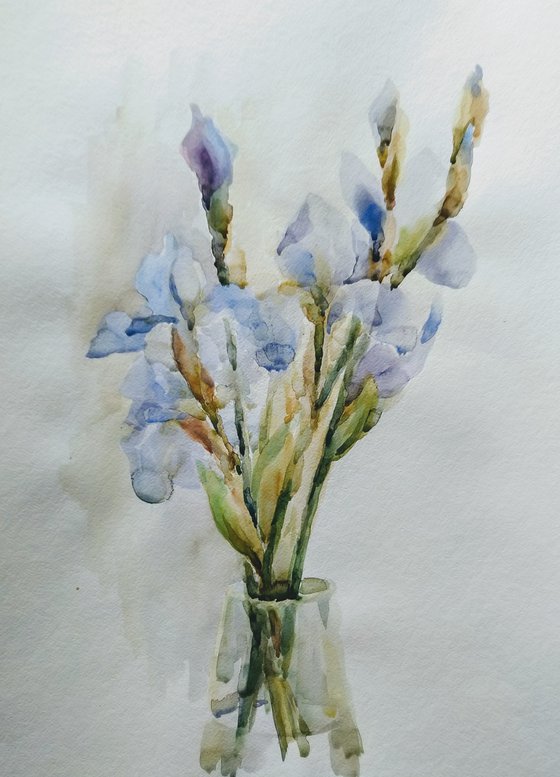 Irises. Original watercolour painting.