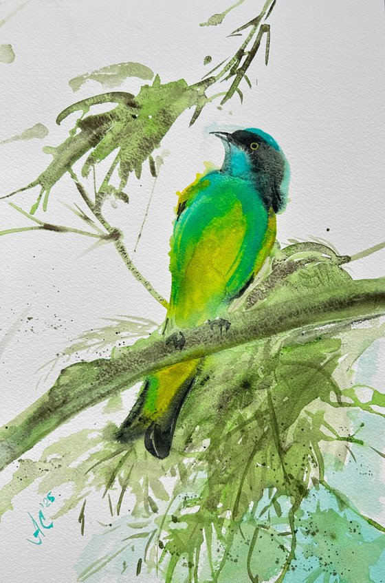 Aqua: Sacred Bird and Green Bird