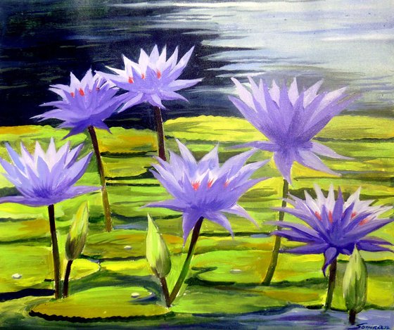 Beauty of Waterlilies