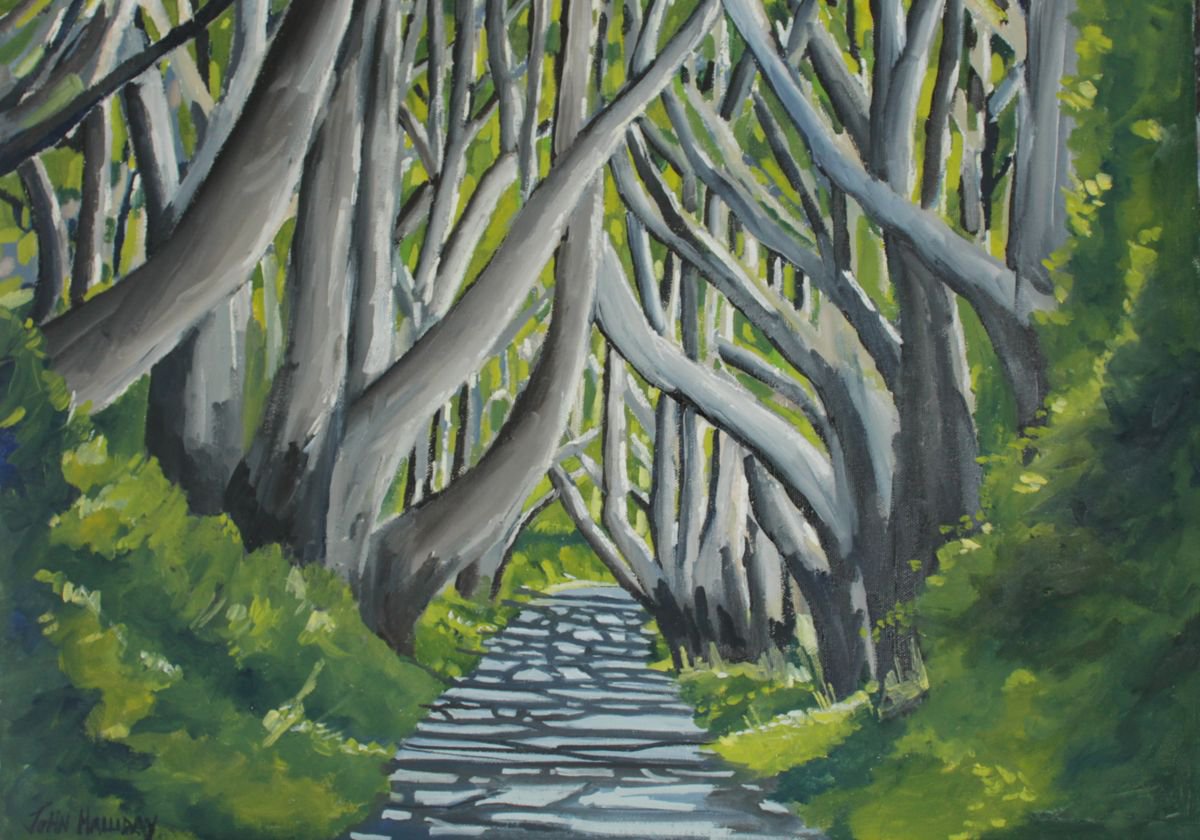 The Dark Hedges Oil painting by John Halliday | Artfinder