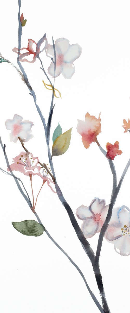Cherry Blossom No. 28 by Elizabeth Becker