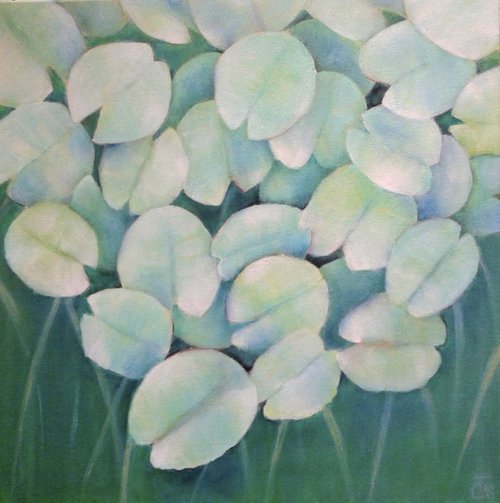 Pond 4 by Tina Castrignano'