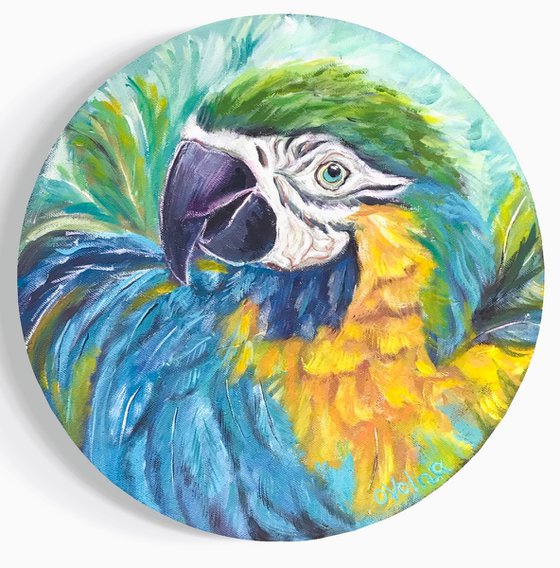 Diptych round parrots