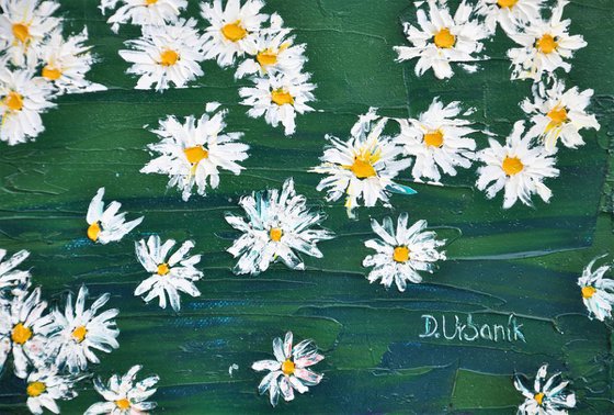 Daisies